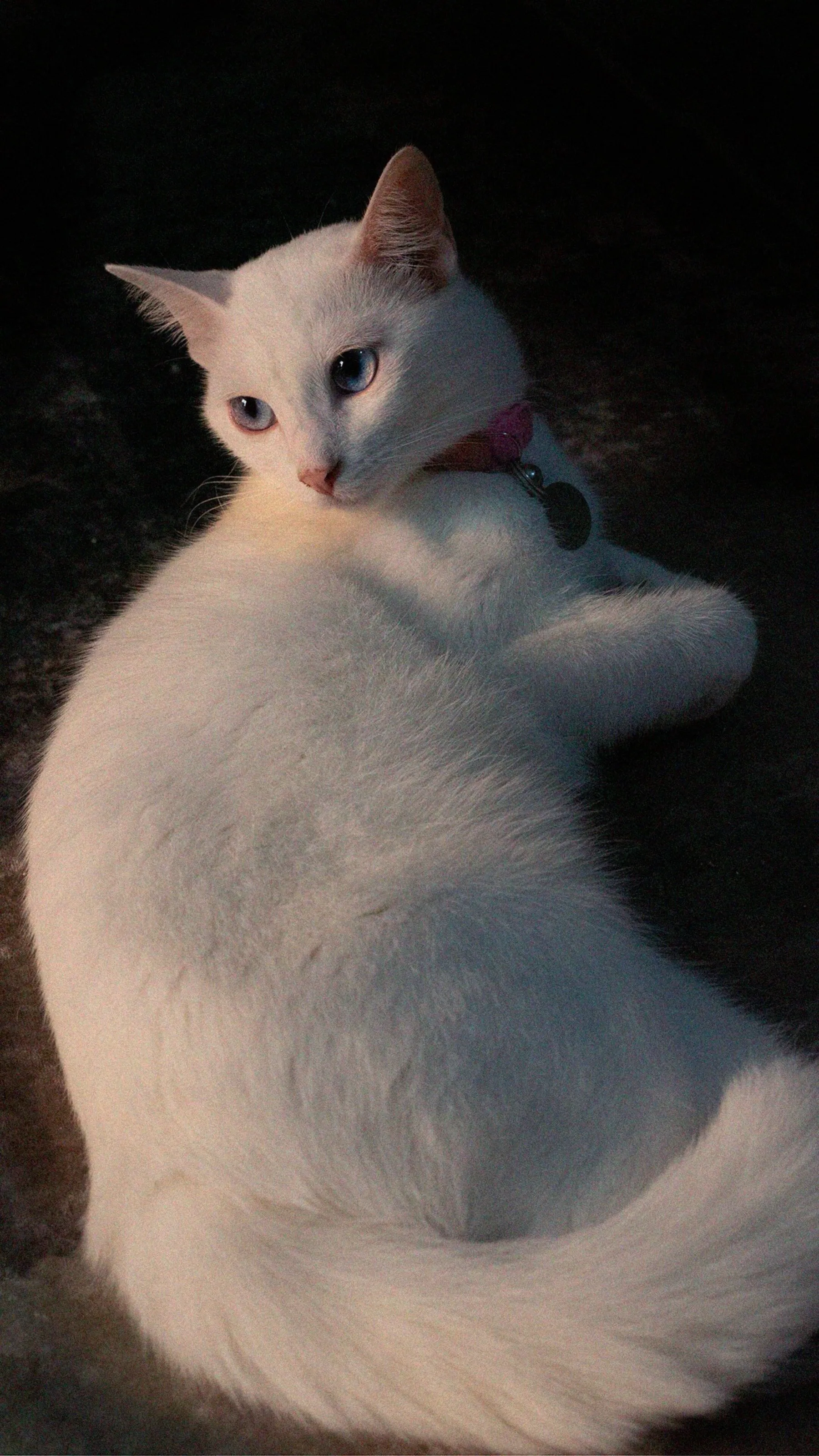 Her Majesty