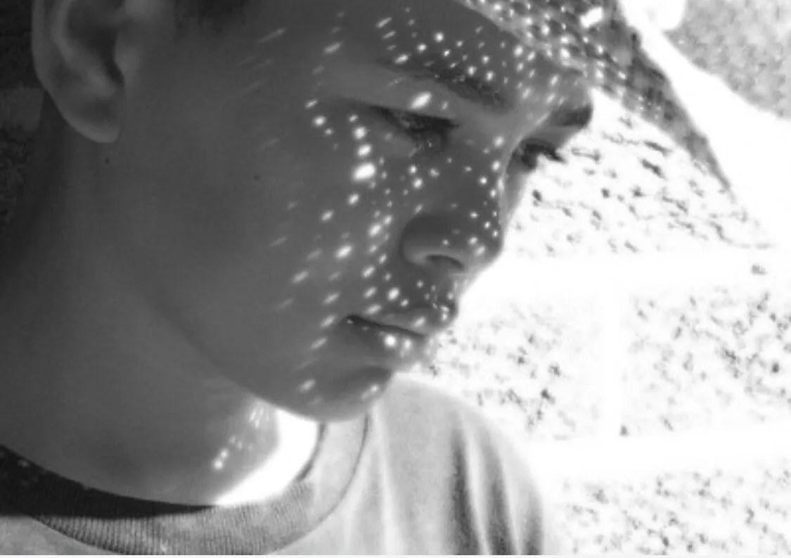 Shadows