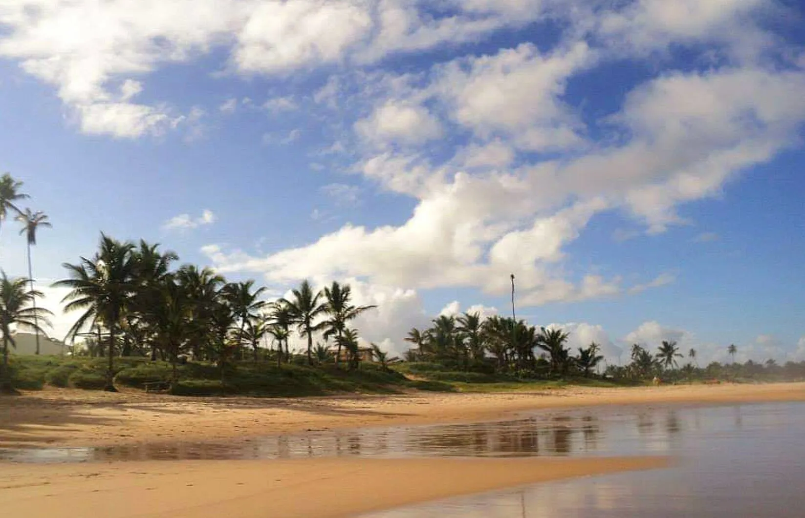 Beautiful wild beach of Brazil, Salvador Bahia