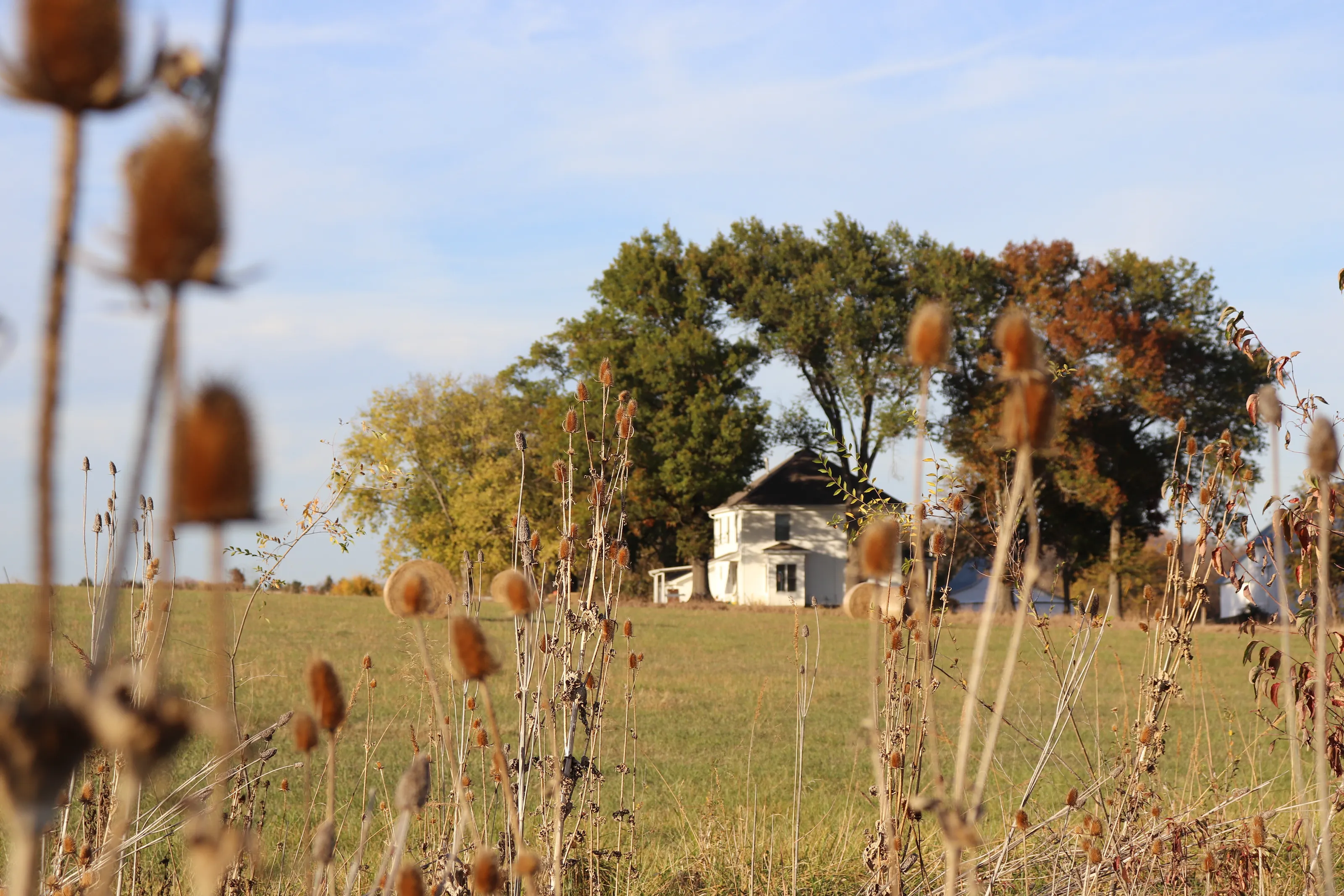 Prairie Home