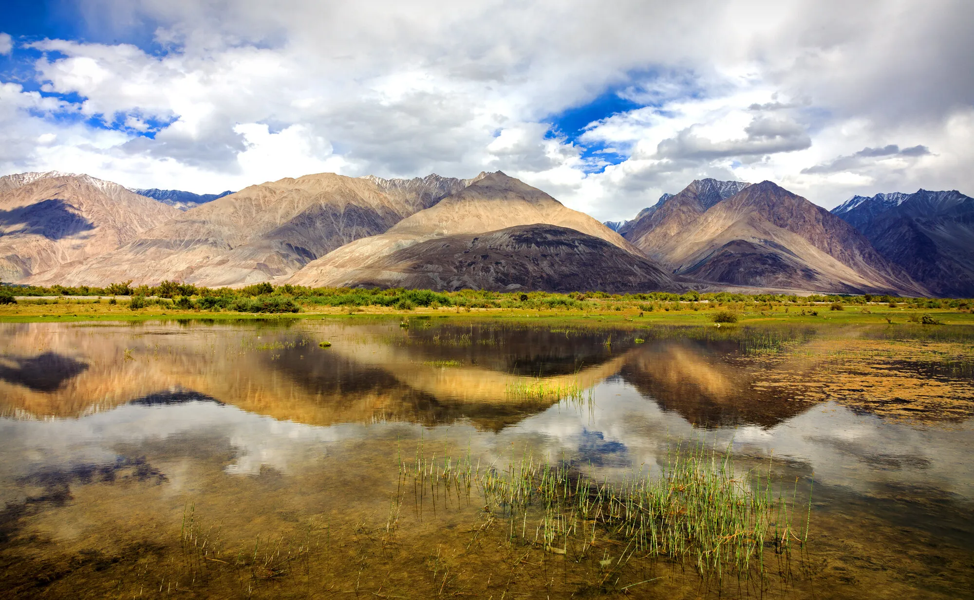 The Reflection