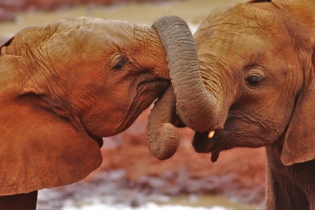 Friendly youngsters
