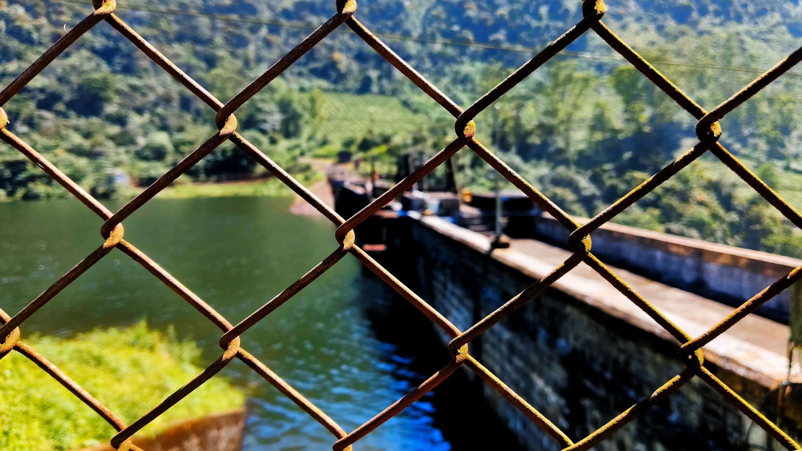 Barriers can’t cage the beauty beyond.