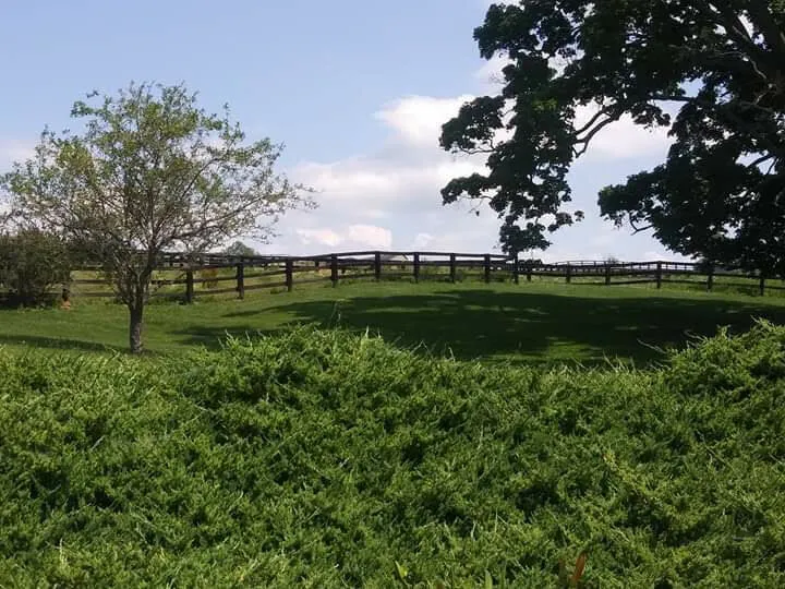 Up on the farm