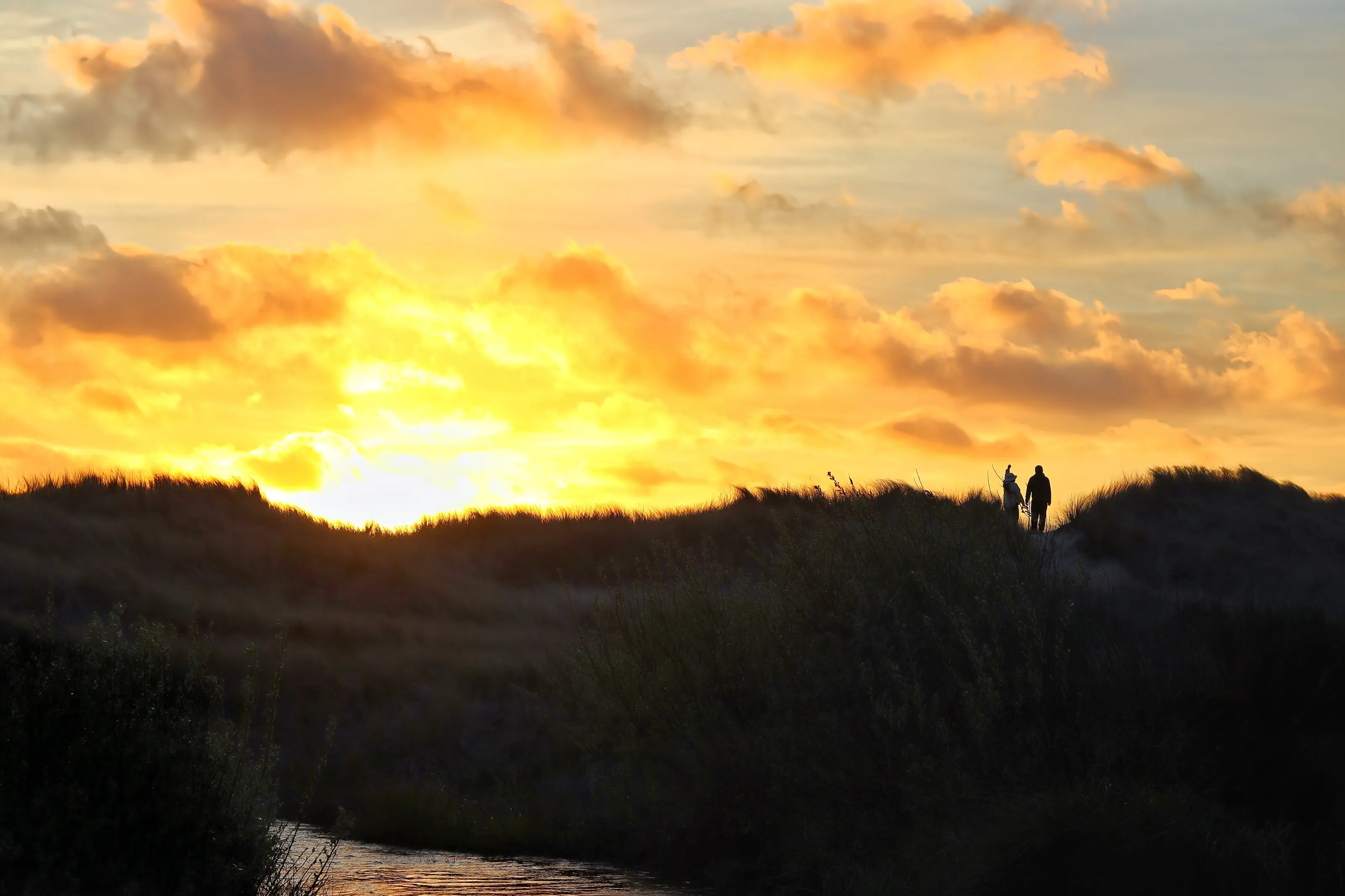 sunset wanderers