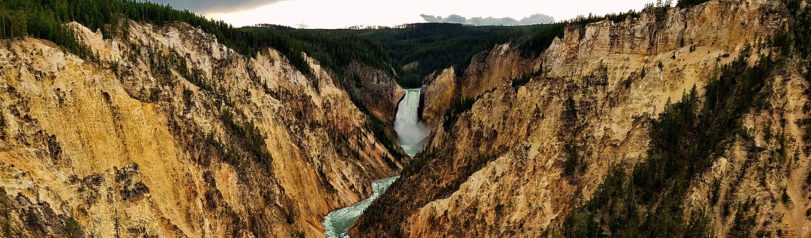 Yellowstone Falls