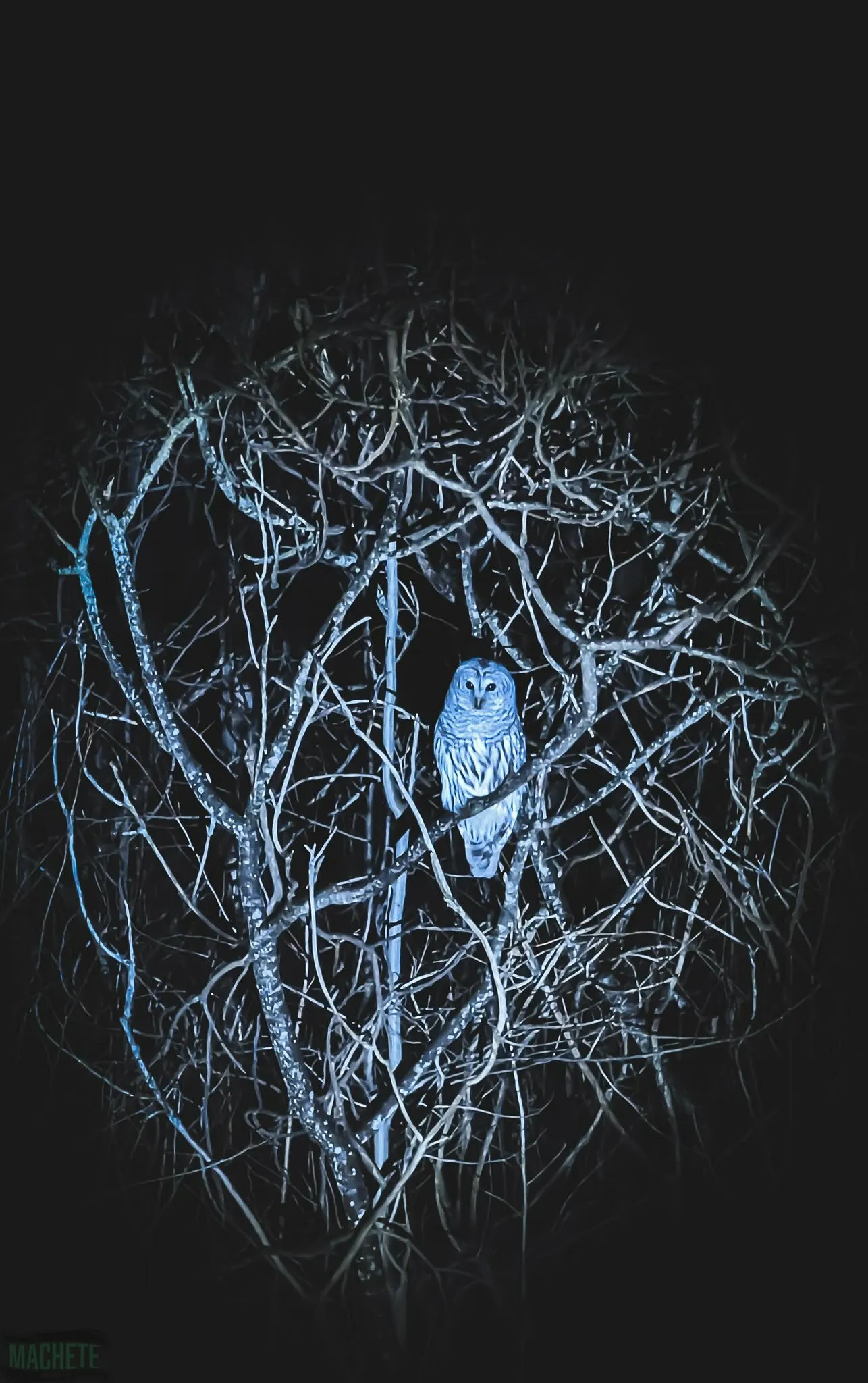 Night watch