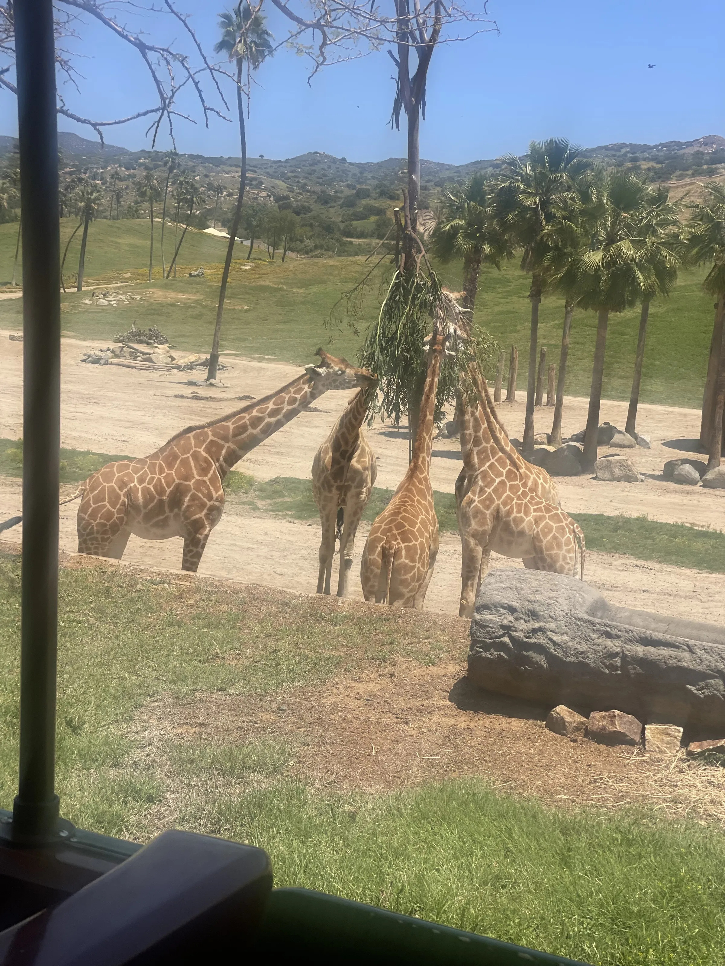 Feeding time