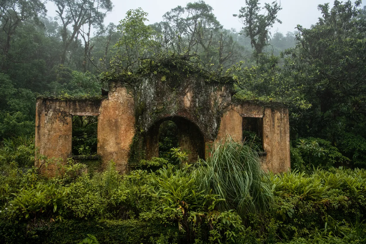 Reclaimed by the Wild