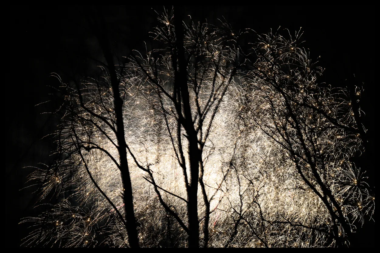Fireworks through trees...