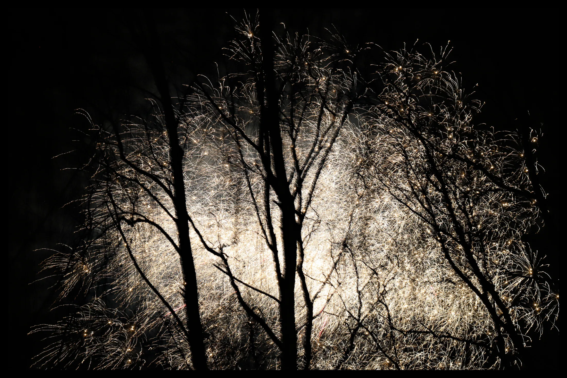 Fireworks through trees...