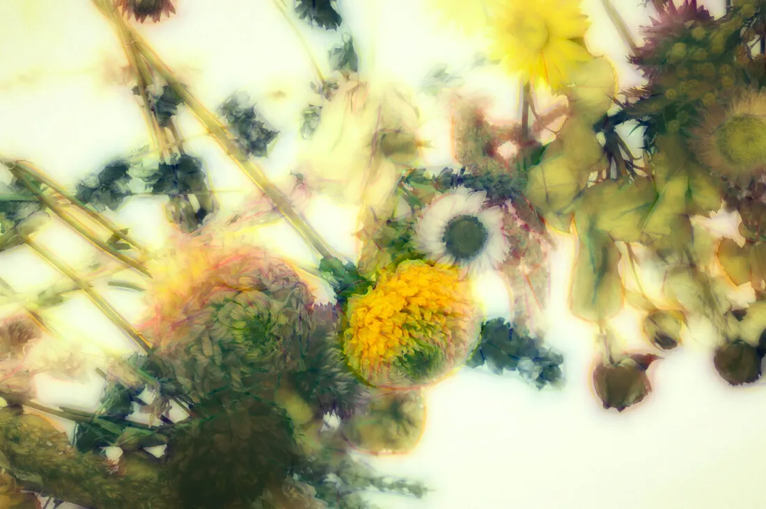 In Dreams