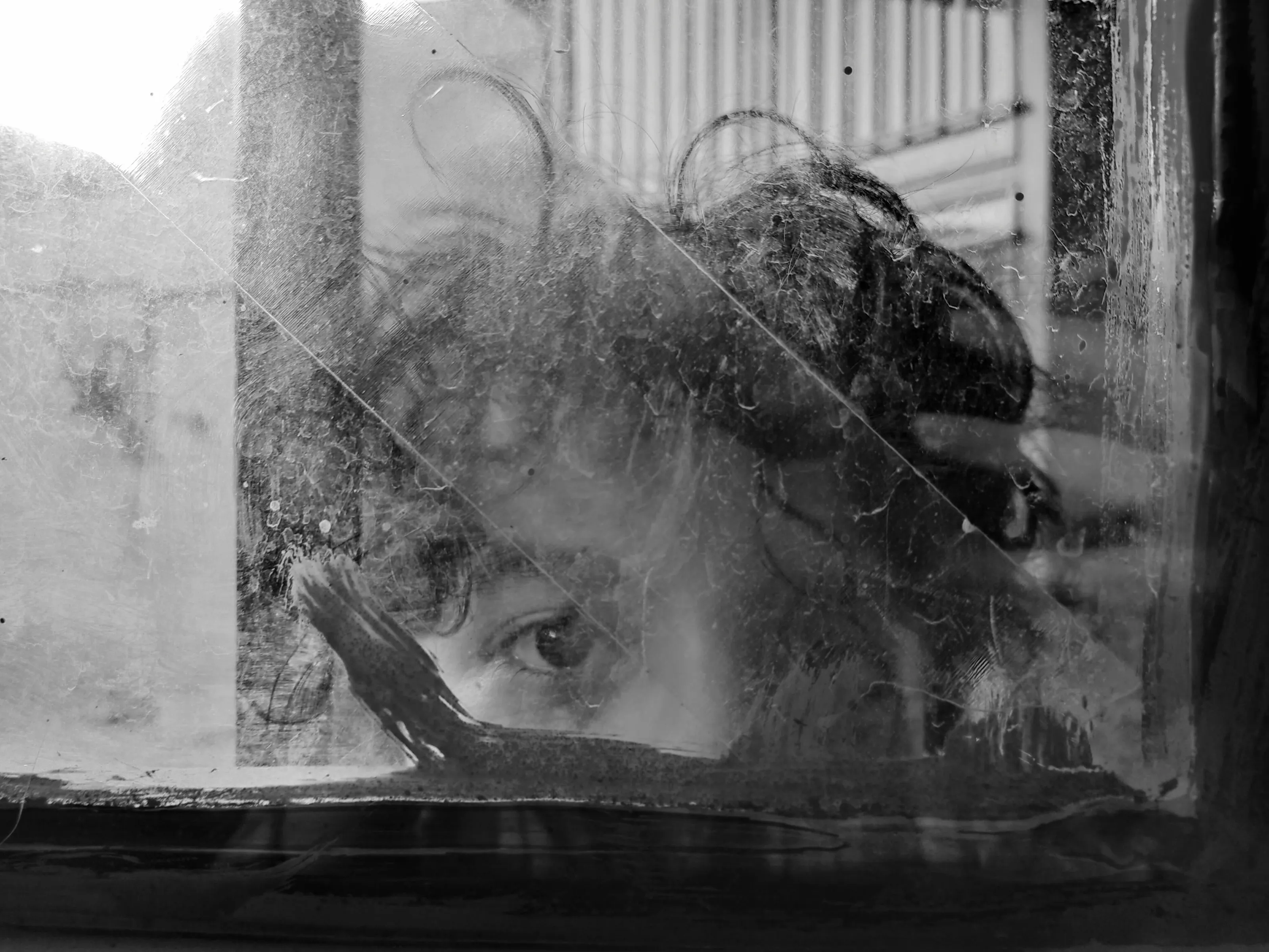 Observer