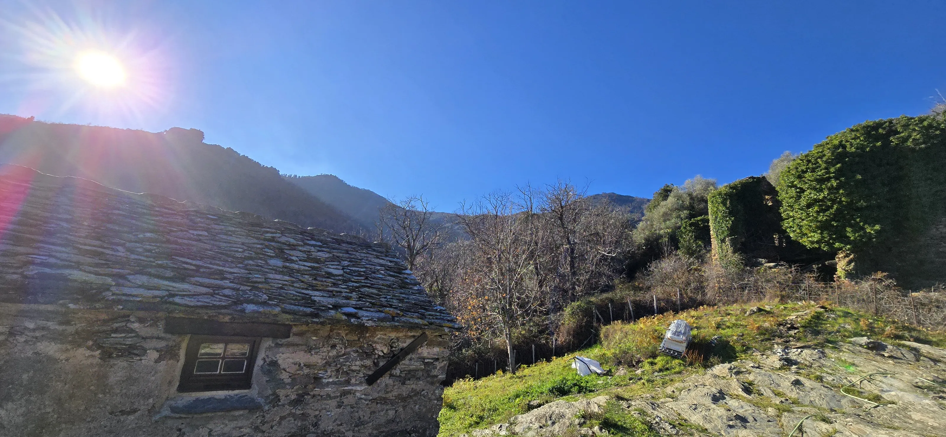 Corsica