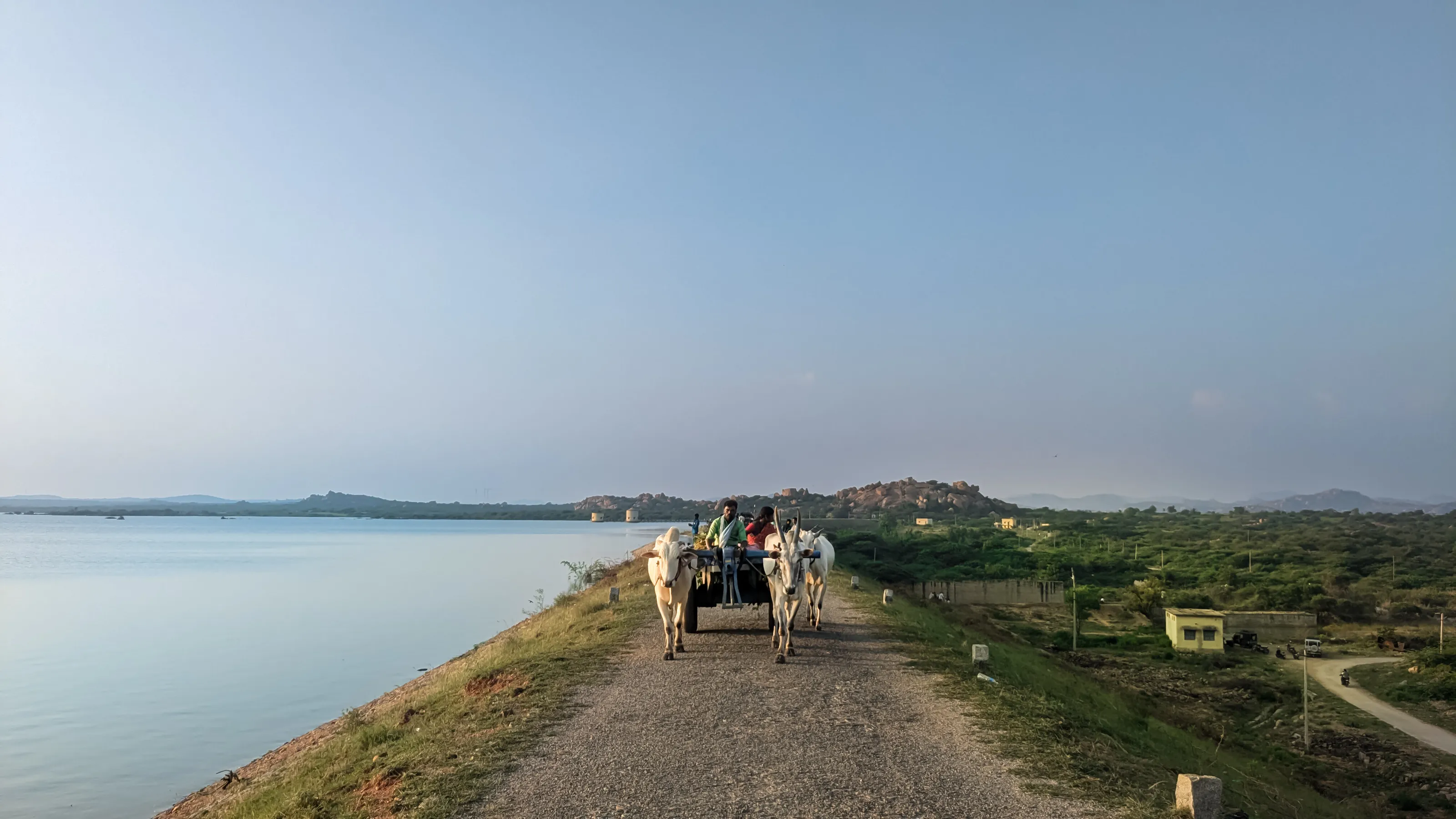 Serene Journey Along the Lake