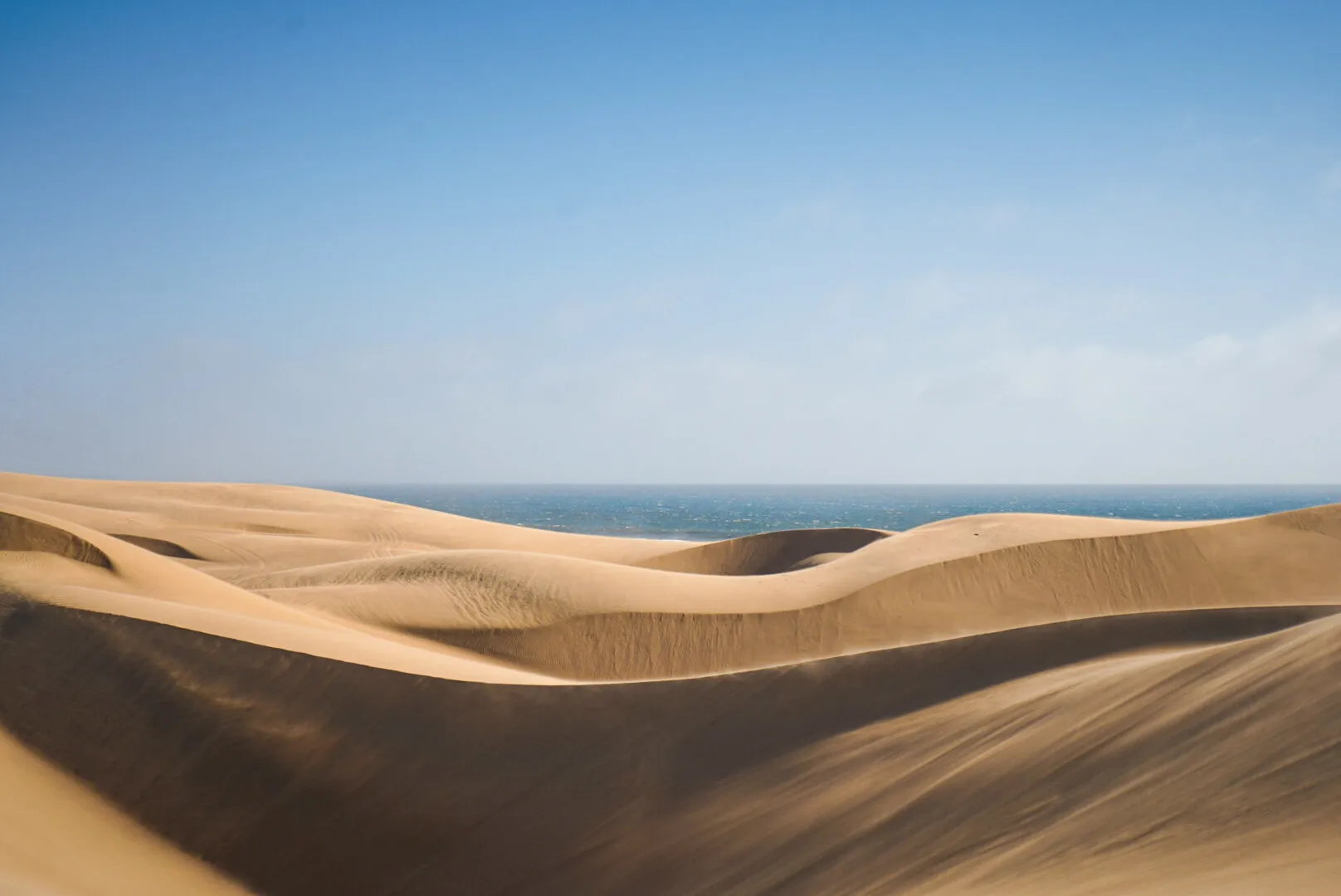 Where dunes meets the Atlantic Ocean