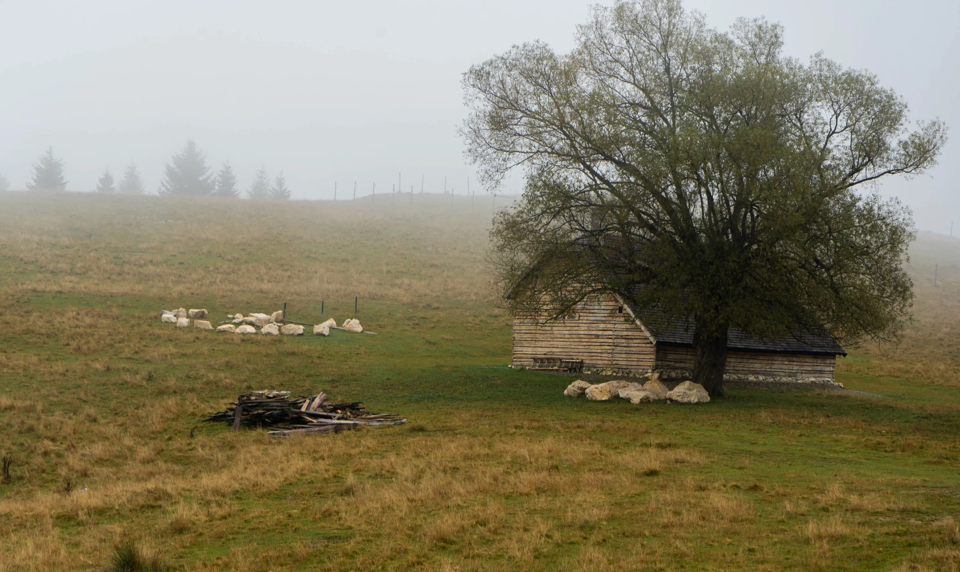 Foggy day