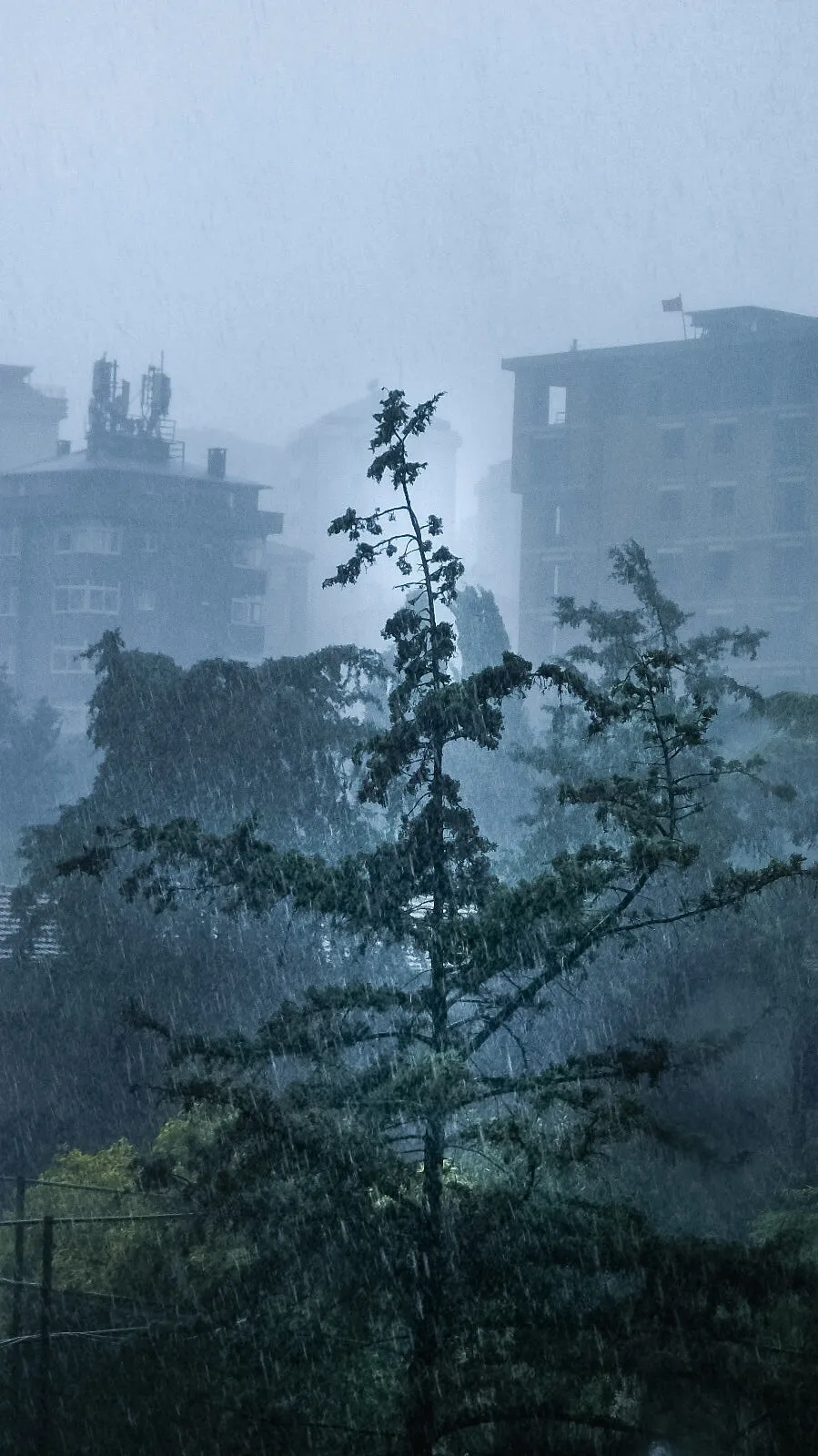 Escaped From The Storm