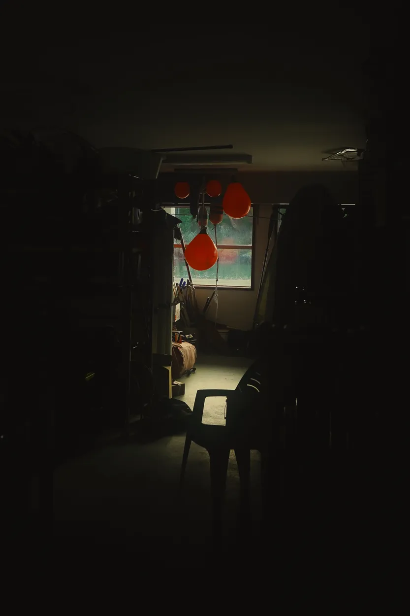 Entry 24801289