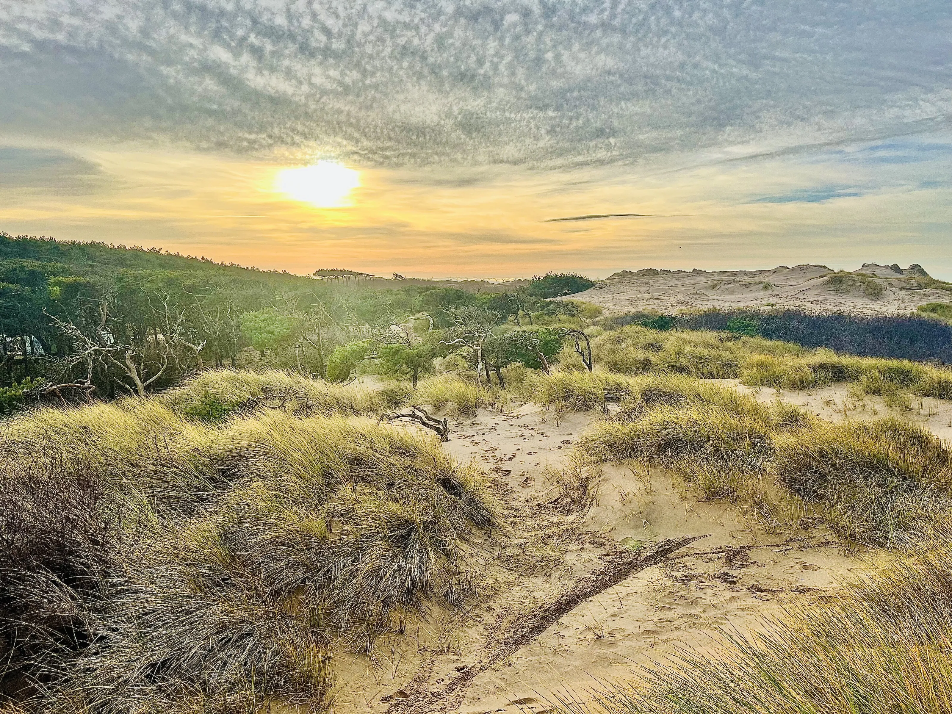 Formby beach Christmas Eve
