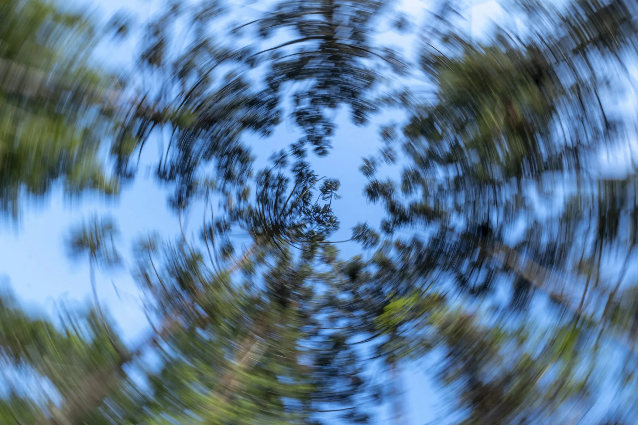 MANDALA