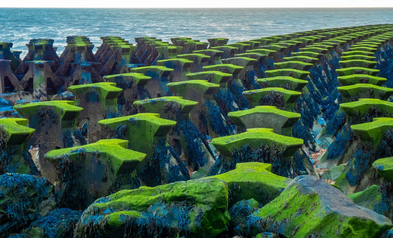 Entry 22860192