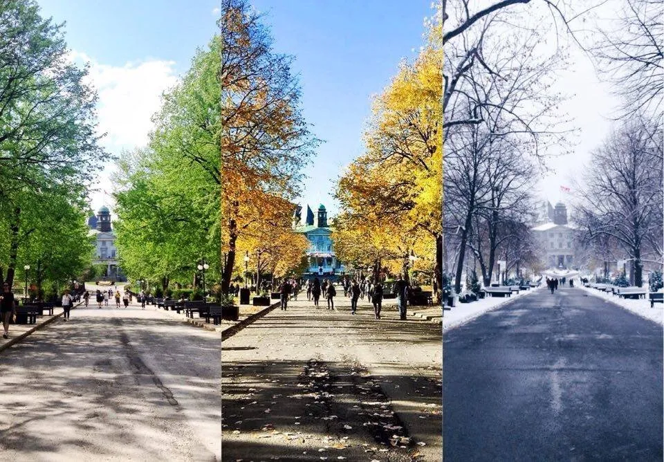 Changing of the Seasons