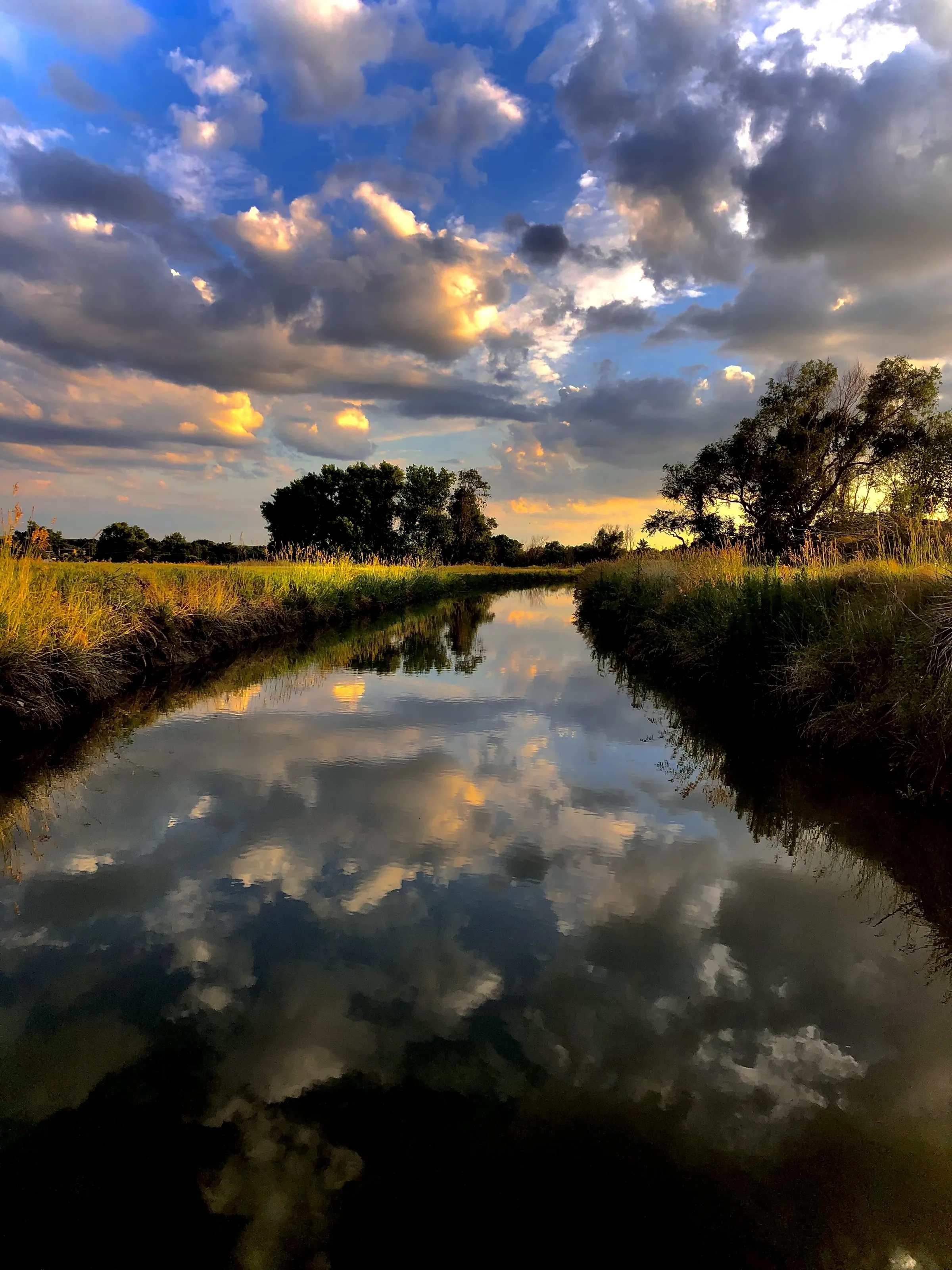Nature’s Mirror