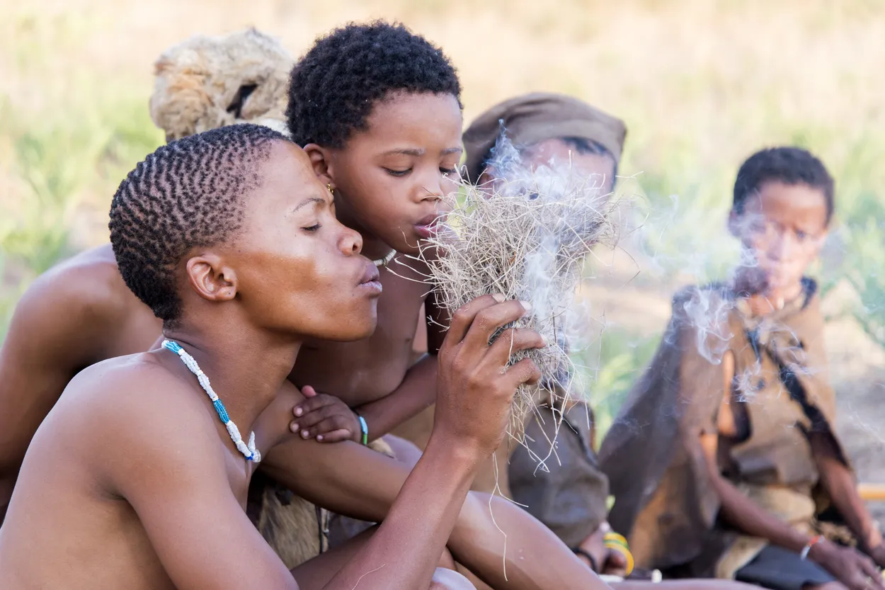 Entry 462314
