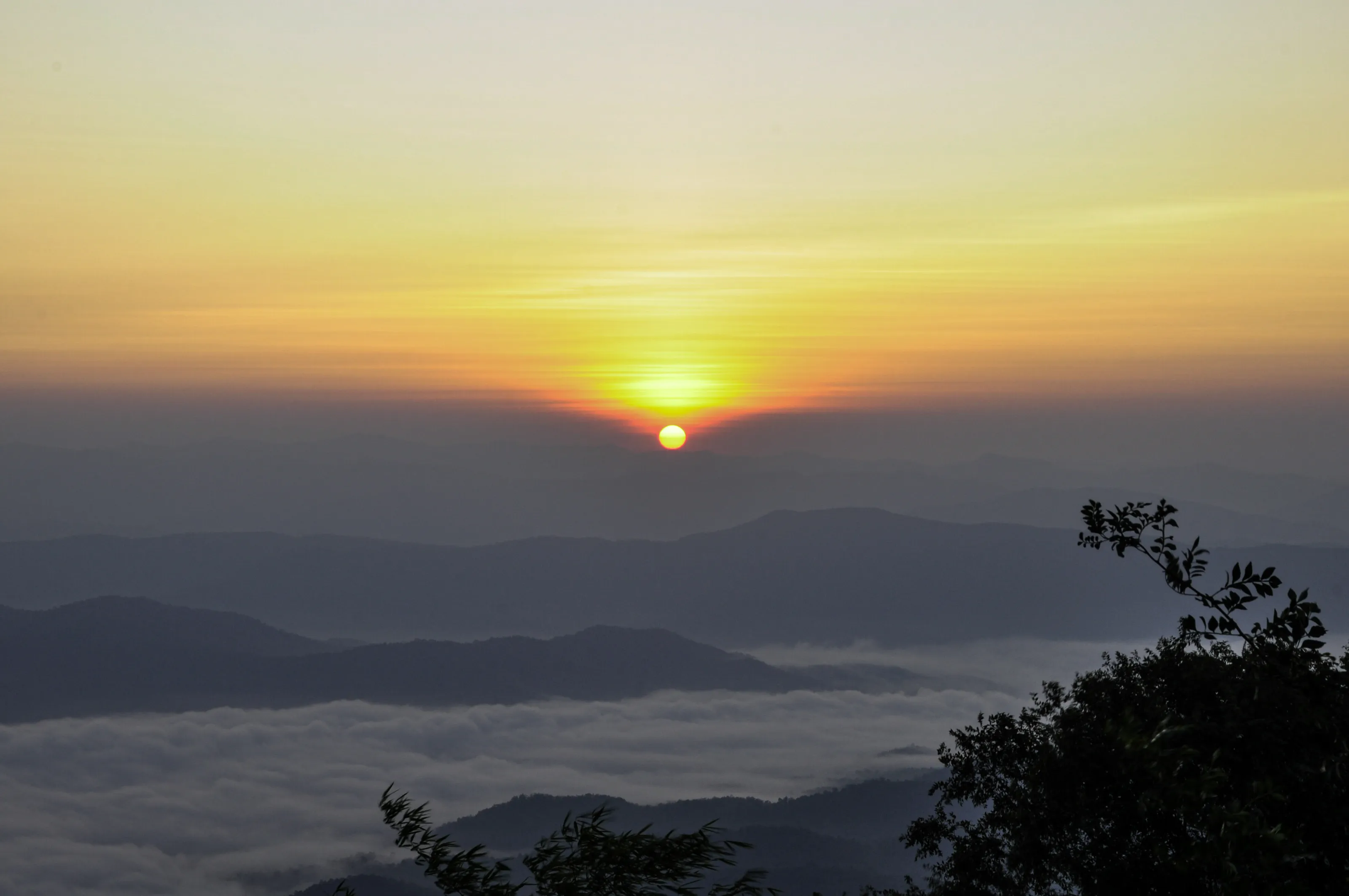 Sunrise with sea of fog