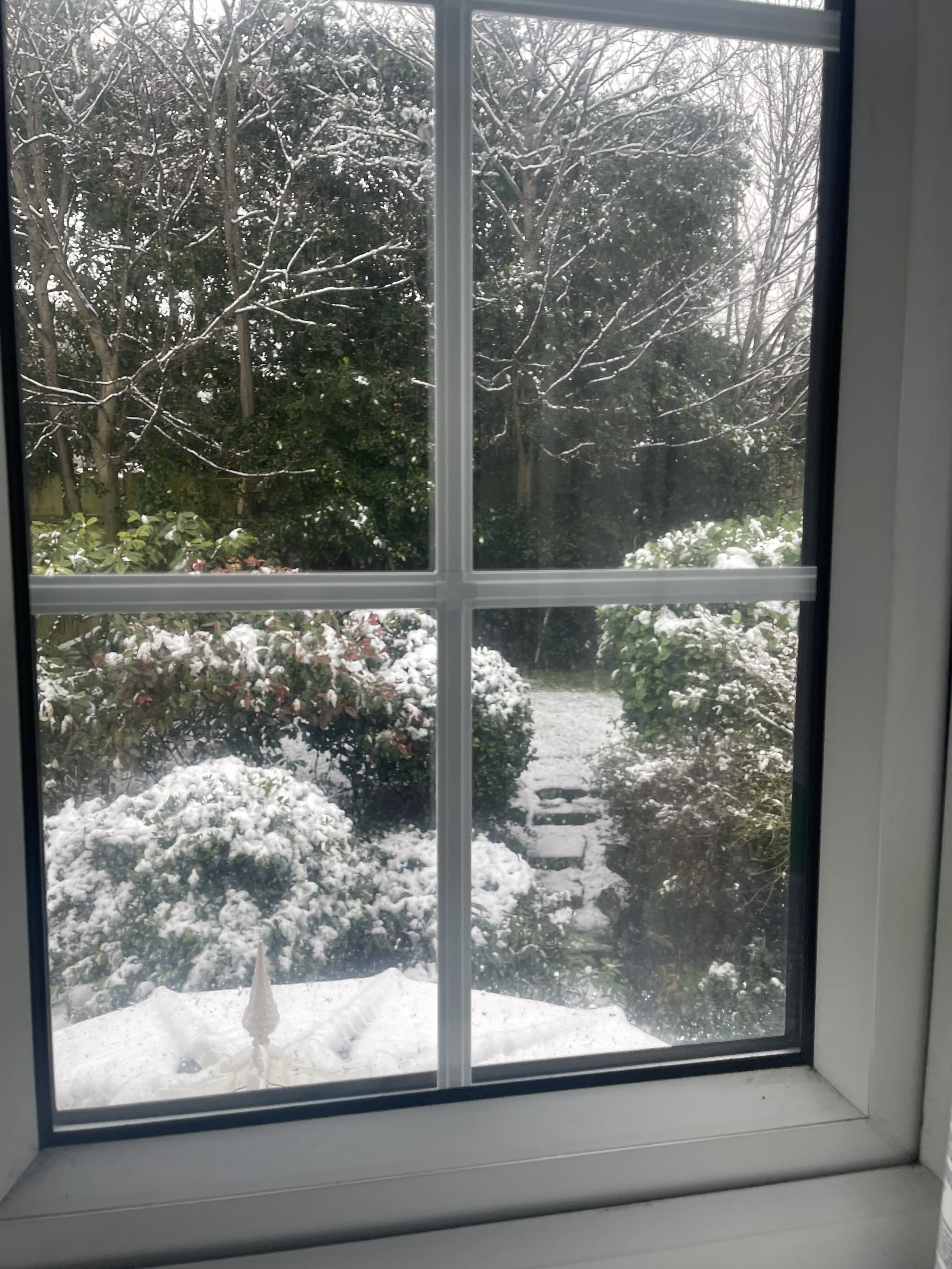 My window
