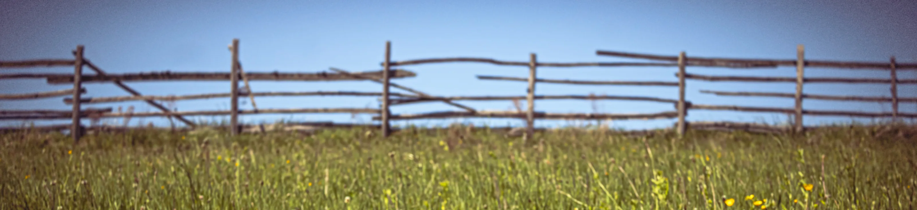 [Banner Image]