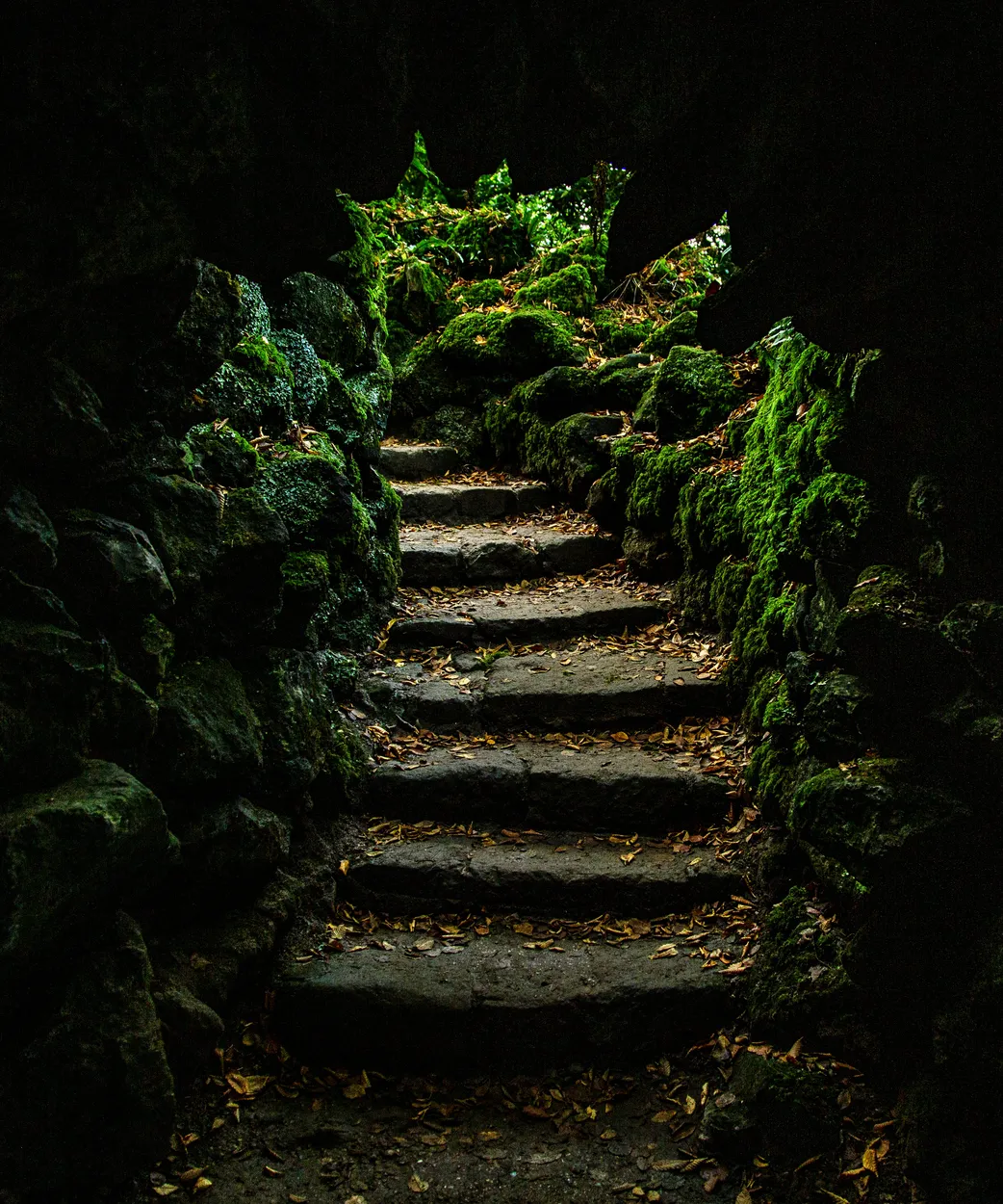 Stourhead Steps