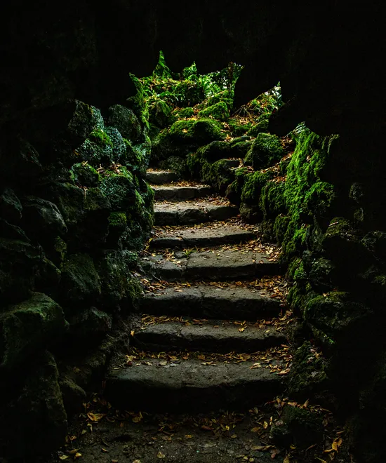 Stourhead Steps