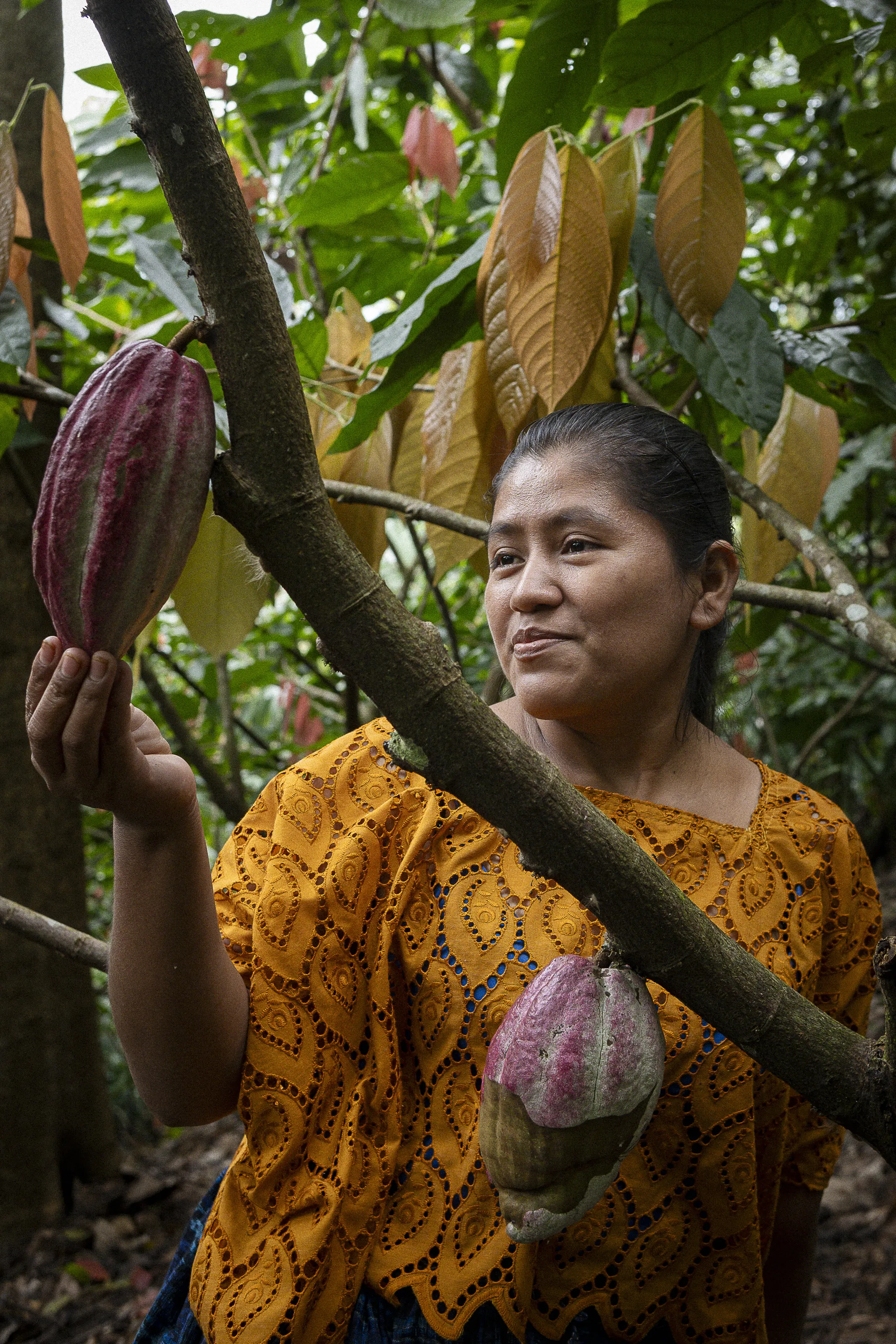 Maria & the Cocoa Plant