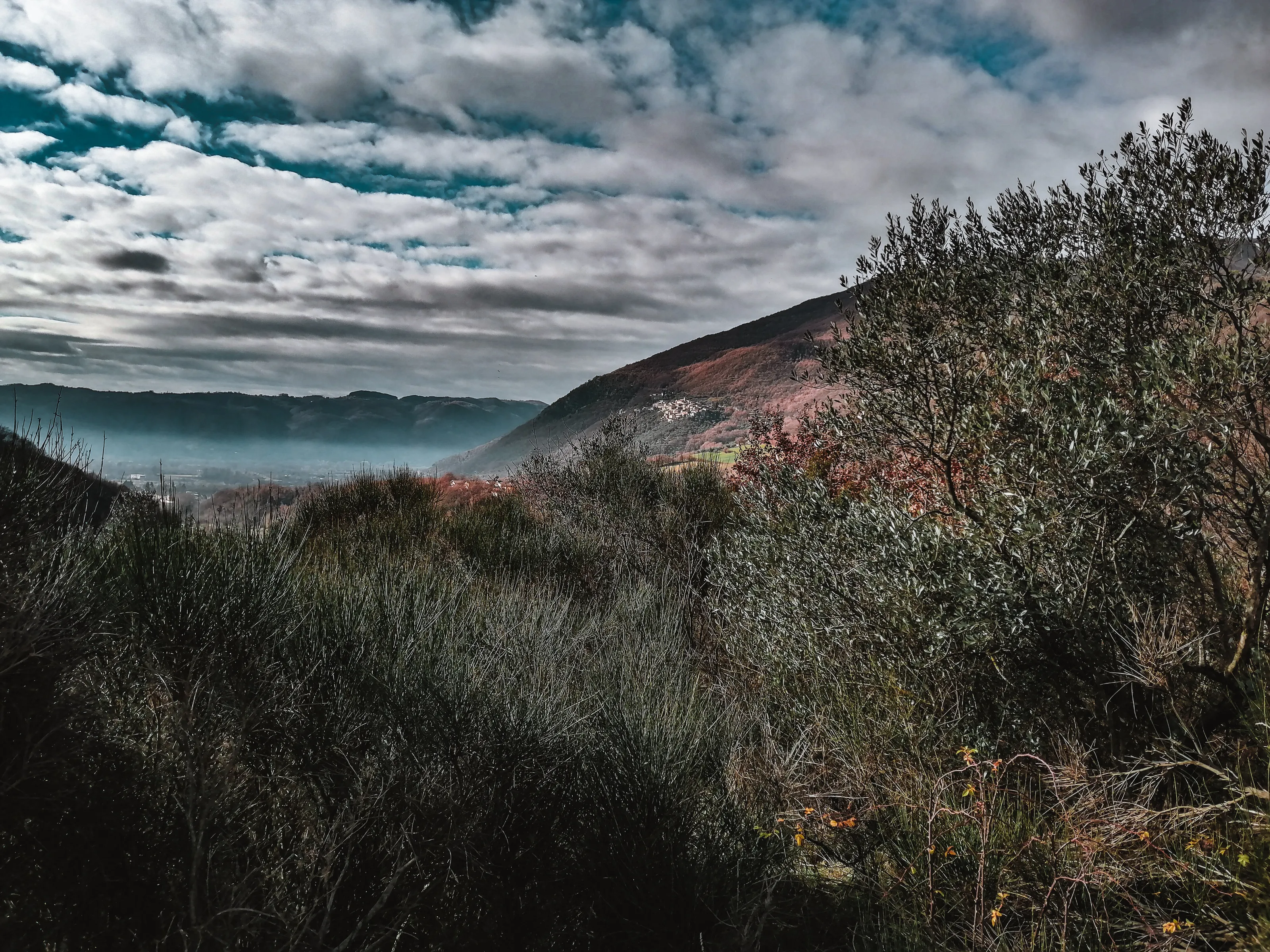 Landscape