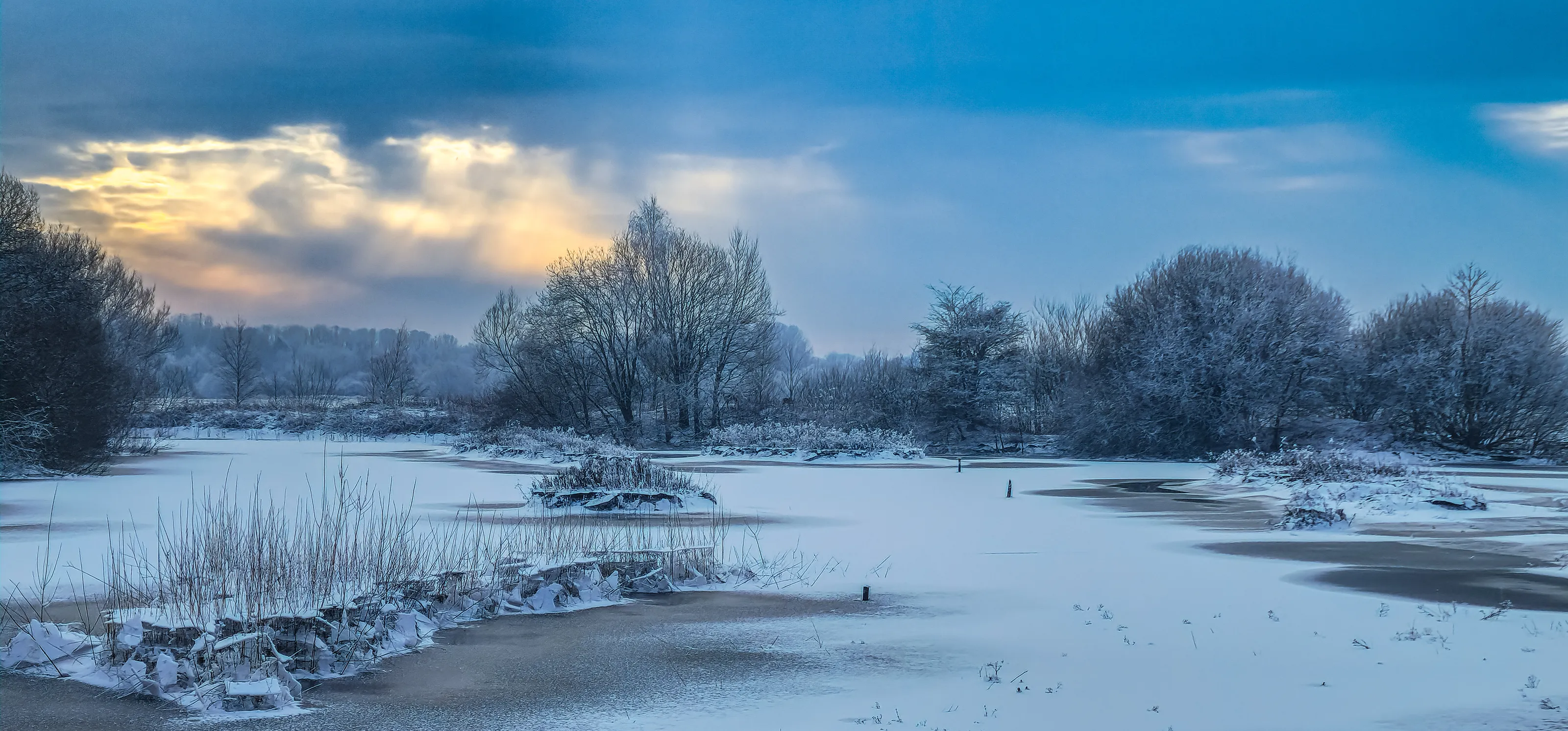Frozen landscape