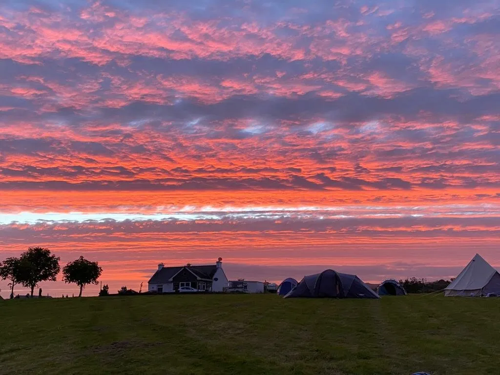 A burst of pink