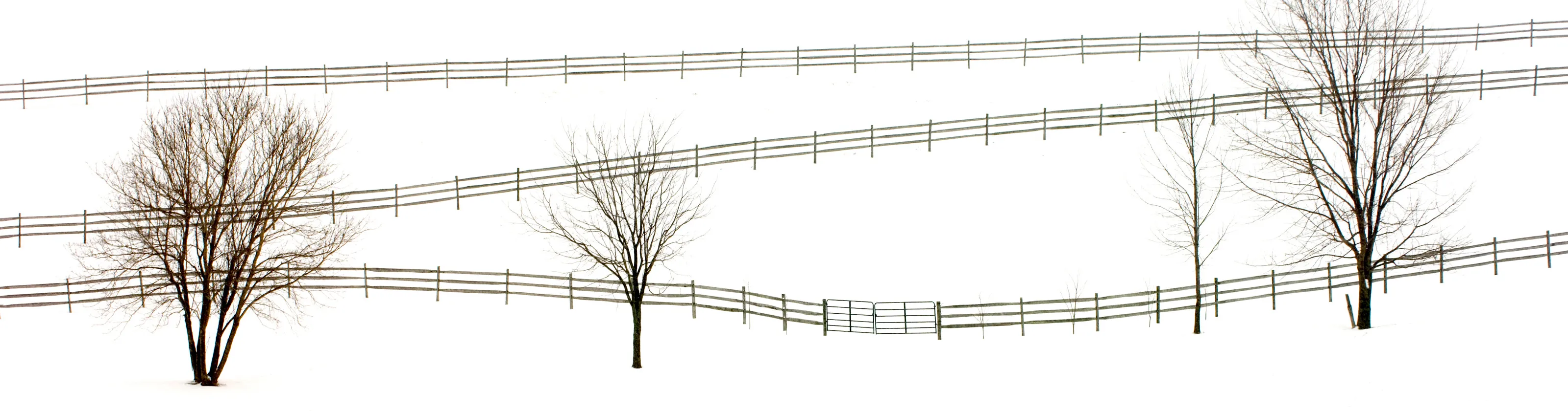 Horse Farm