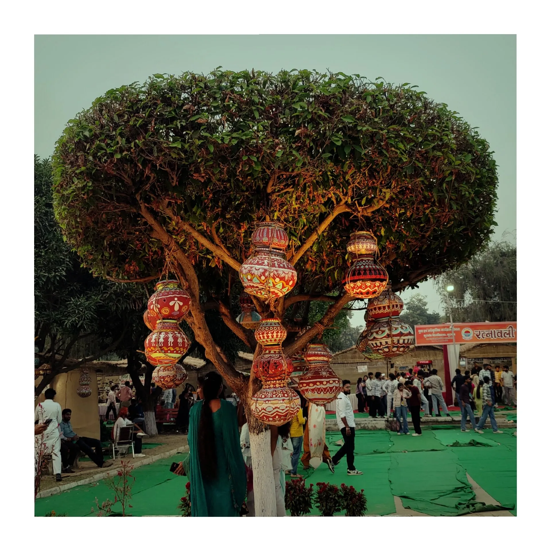 A Random Tree