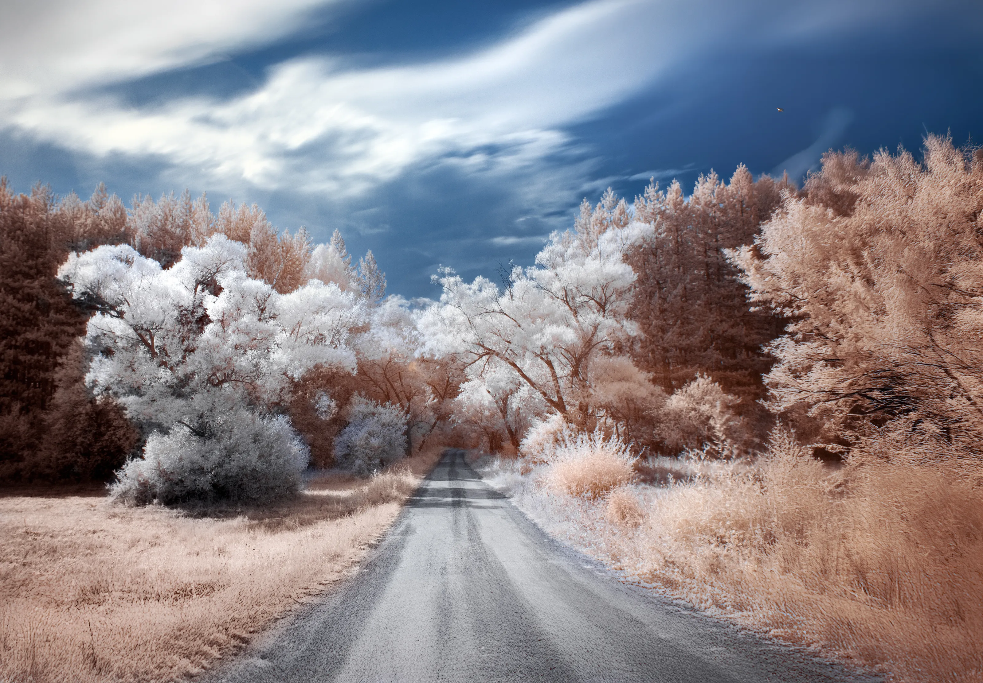 Mistery road