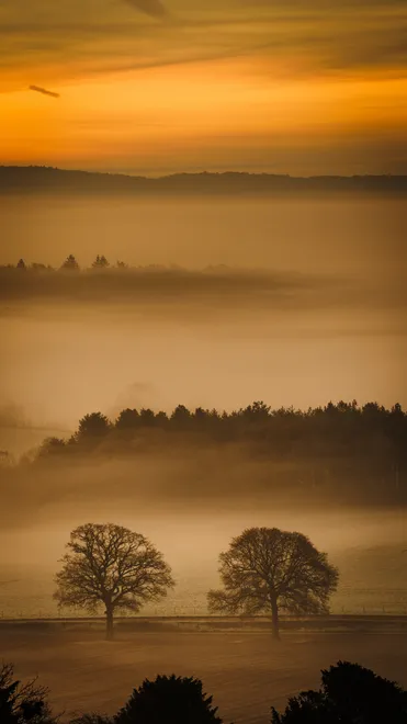 Newlands Corner