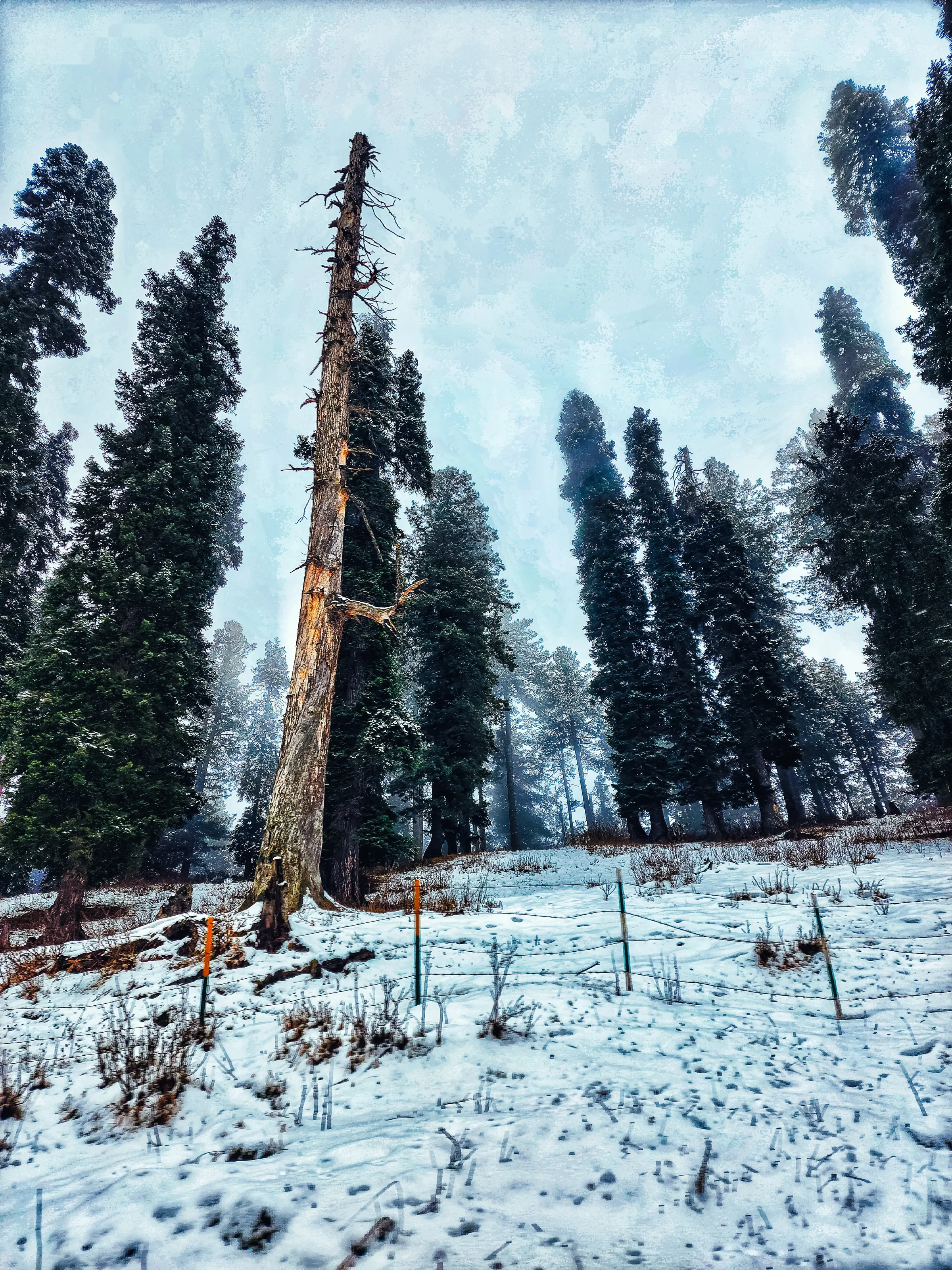 Winters of Kashmir