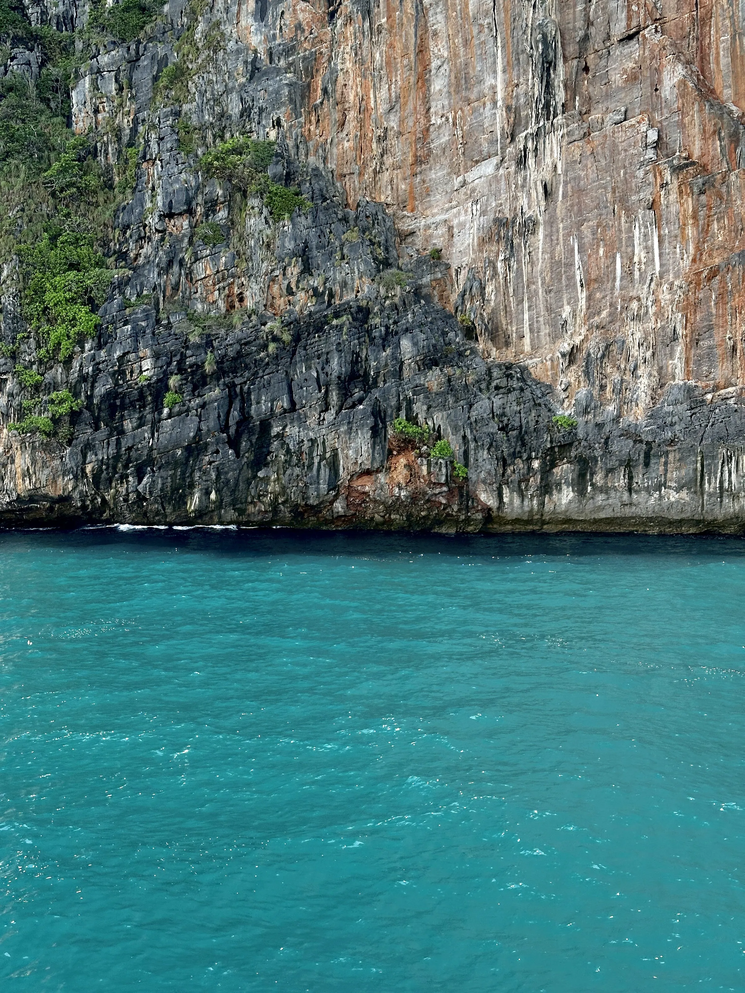 Reef