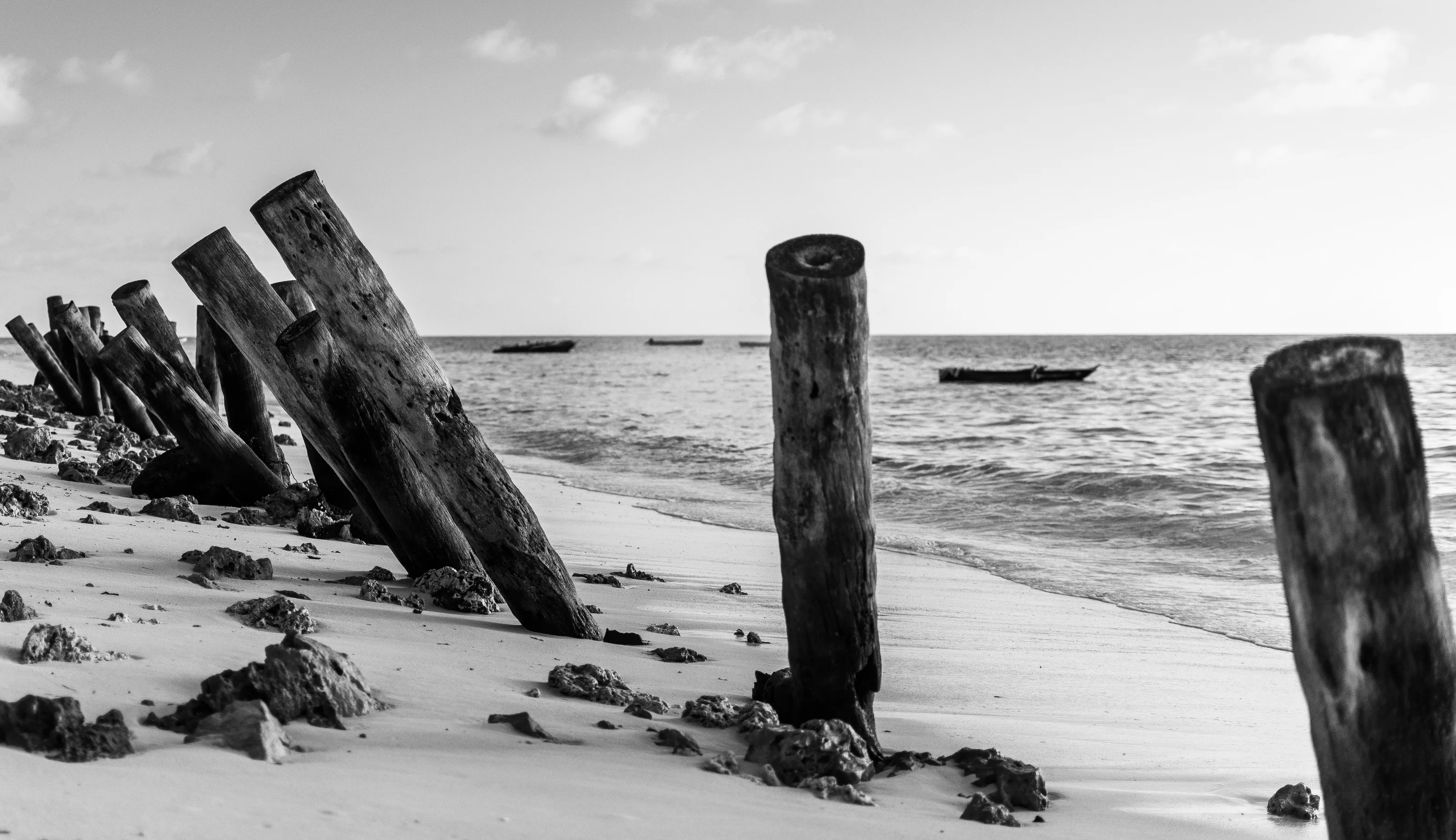What Remains After the Tides Have Spoken