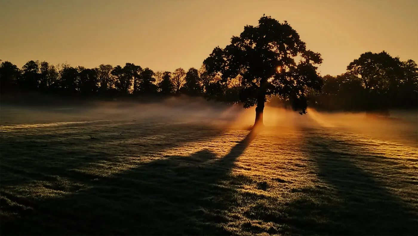 Springtime Sunrise