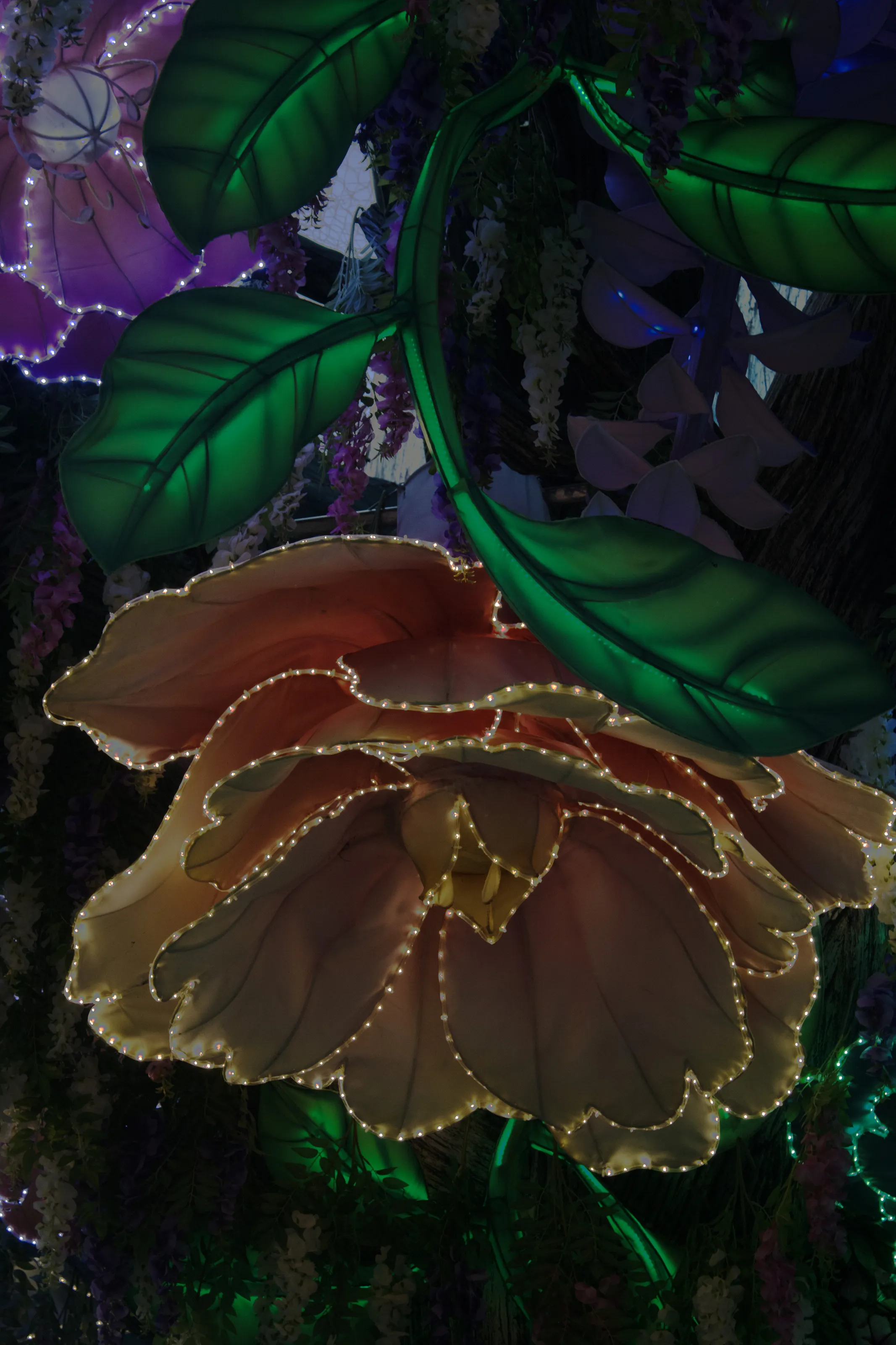 Banner image