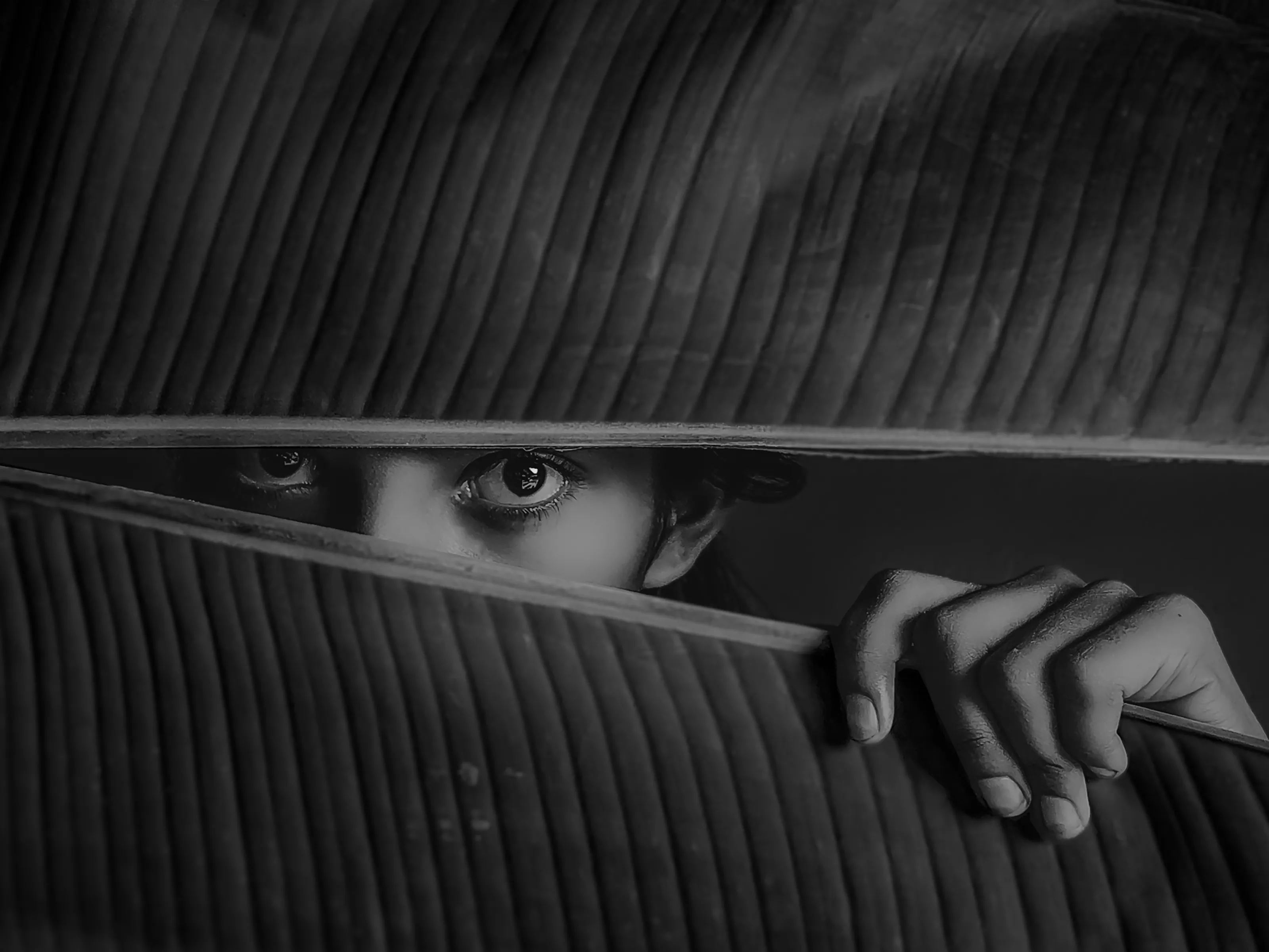 Behind the Veil of Nature