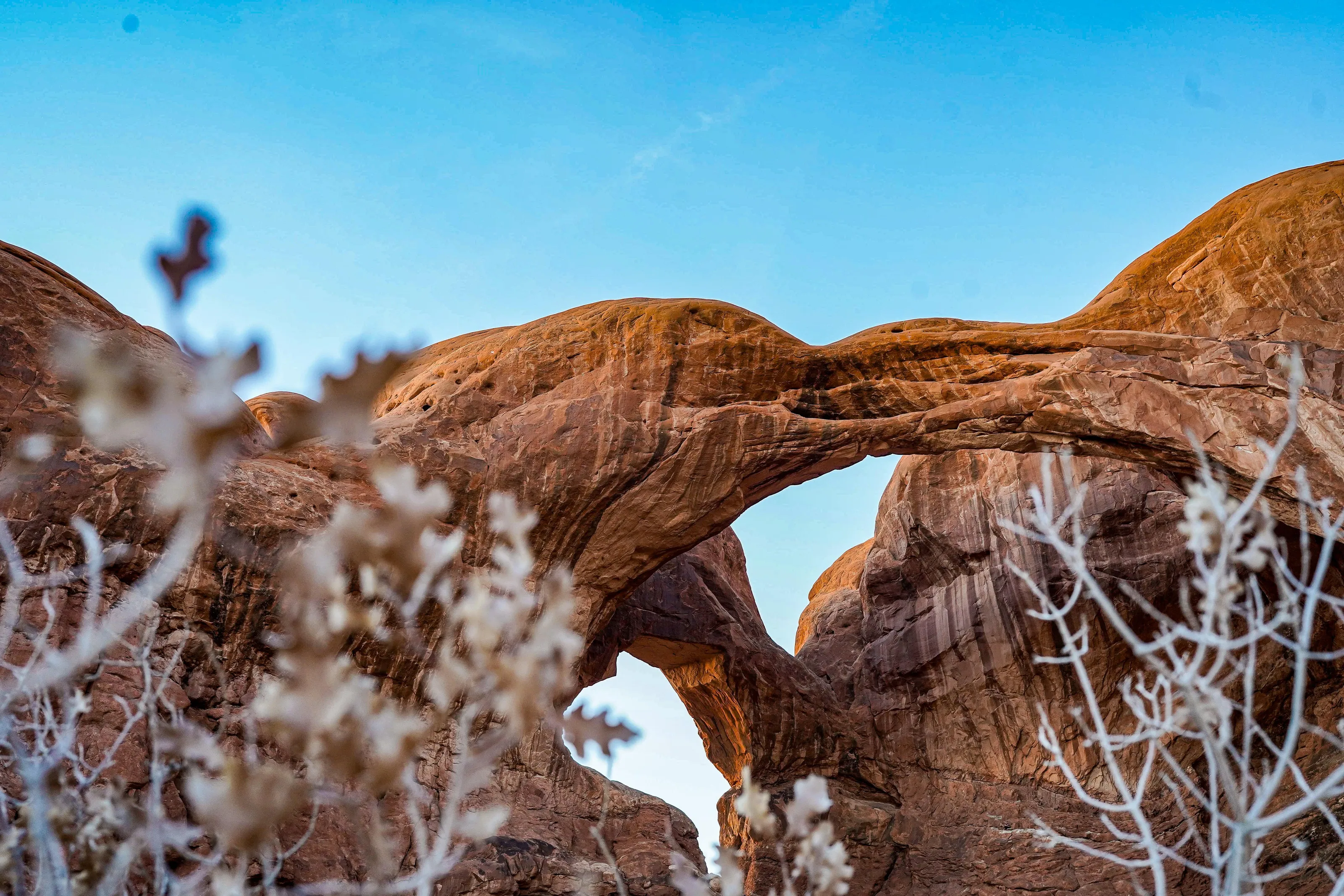 Double Arch