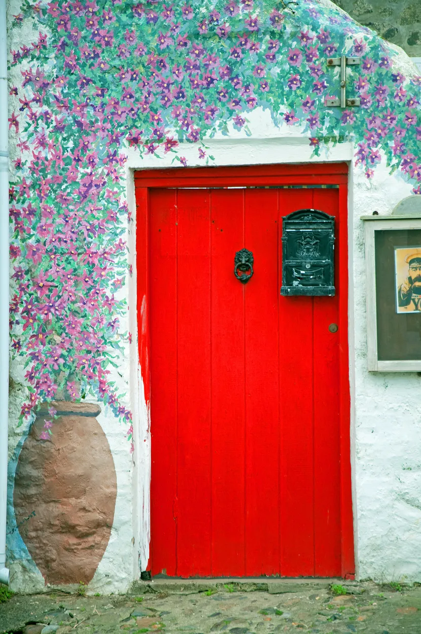 Entry 11104695